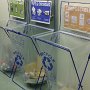 Environment Day